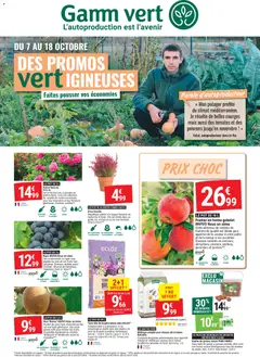 Prévisualisation de Gamm vert - des promos vertigineuses du magasin Gamm vert formulaire valide 07/10/2026