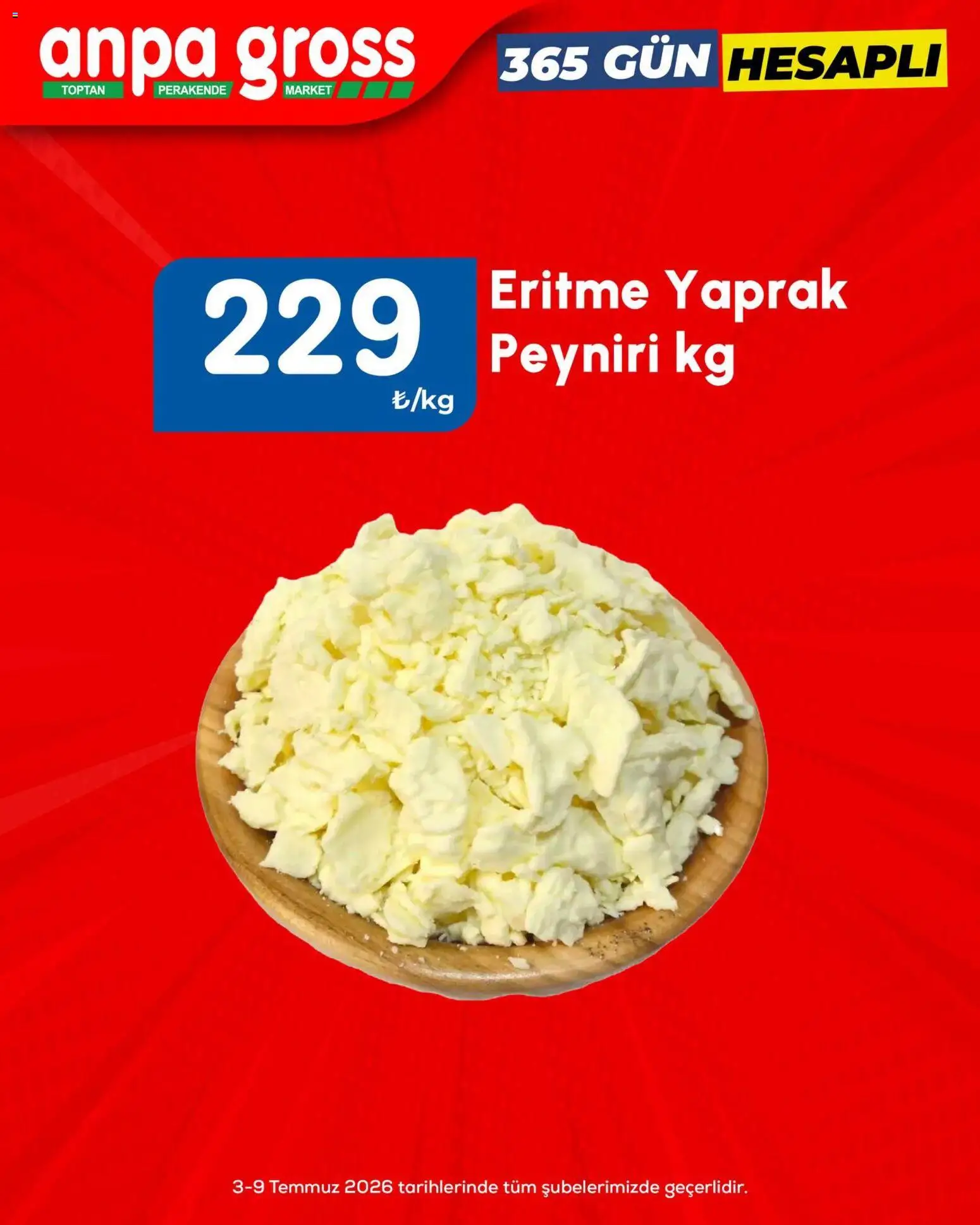 Anpa Gross Anpa Gross Katalog 03.07.2026 - Broşürünün önizlemesi