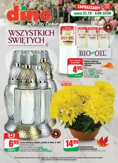 Pogląd gazetki "Dino gazetka - Wszystkich Świętych" ze sklepu Dino ważnej od 28.10.2026