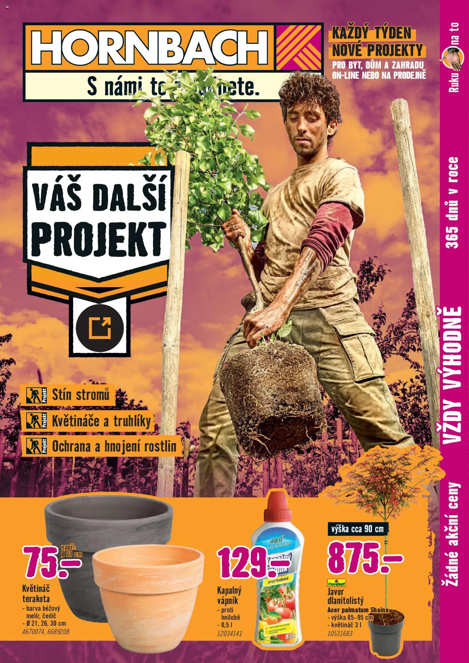 Náhled nabídky: HORNBACH HORNBACH leták - Venkovní rostliny platný od 10.06.2026