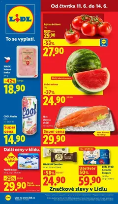 Náhled nabídky: Lidl Lidl aktuální leták platný od 11.06.2026