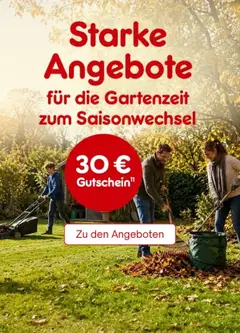Netto Marken-Discount Produktkatalog - Garten ab 31.08.2026 gültig