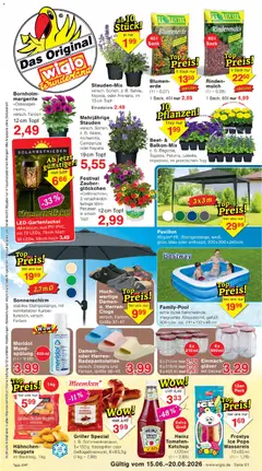 Vorschau von dem Prospekt des Geschäftes Wiglo Wunderland, gültig ab dem 15.06.2026