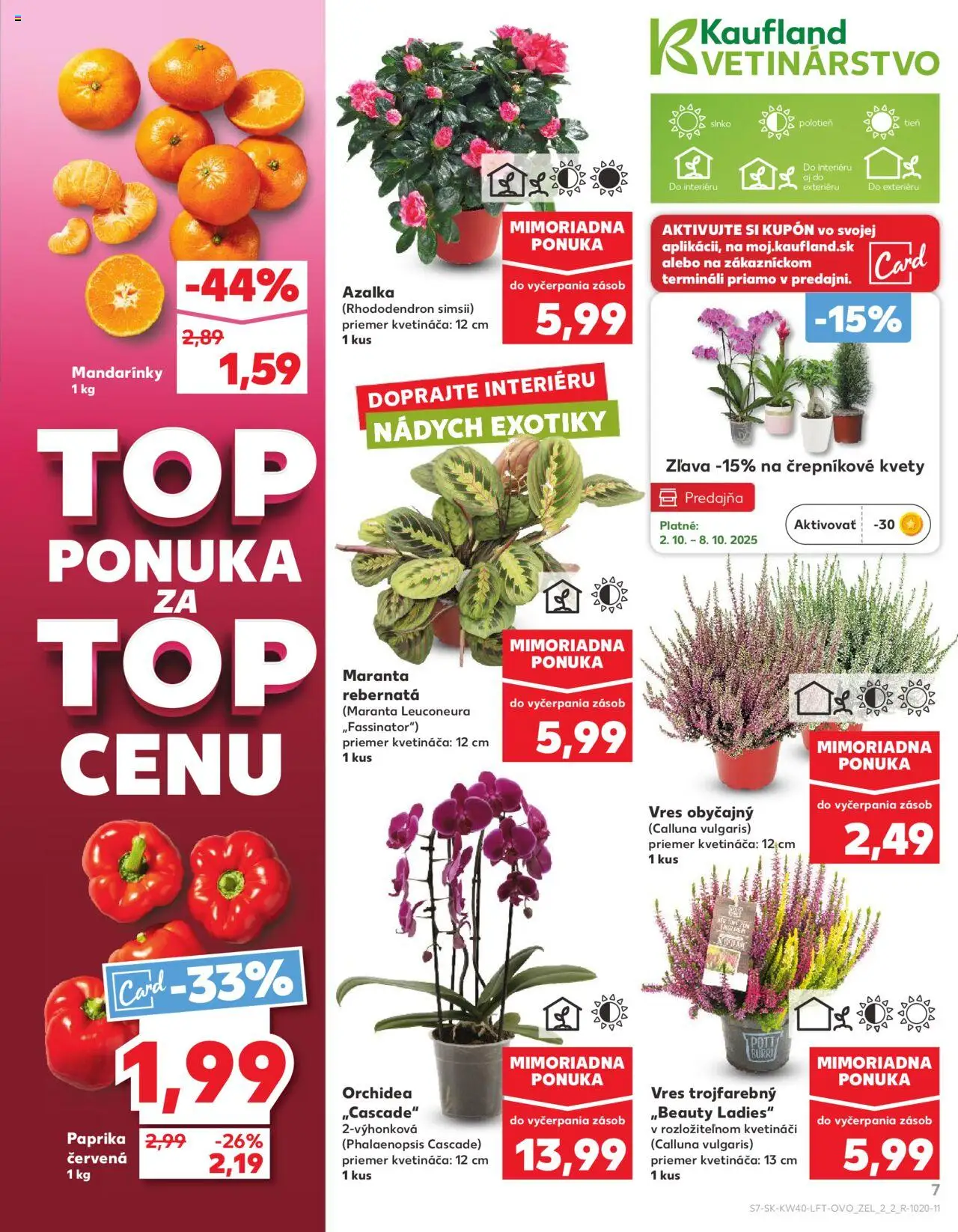 Náhľad Kaufland letáku platného od 02.10.2025 - Kvety, Paprika, Orchidea, Mandarinky