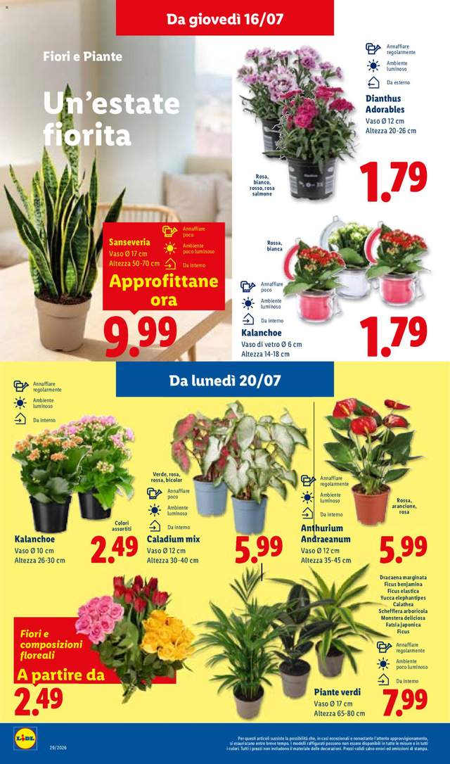 Nuovo volantino Lidl dal 16/07