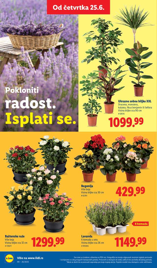 Novi Lidl katalog od 25.06.
