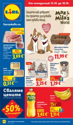 Преглед на Лидл Седмична брошура от магазин Лидл - Офертата е валидна от 12.10.2026
