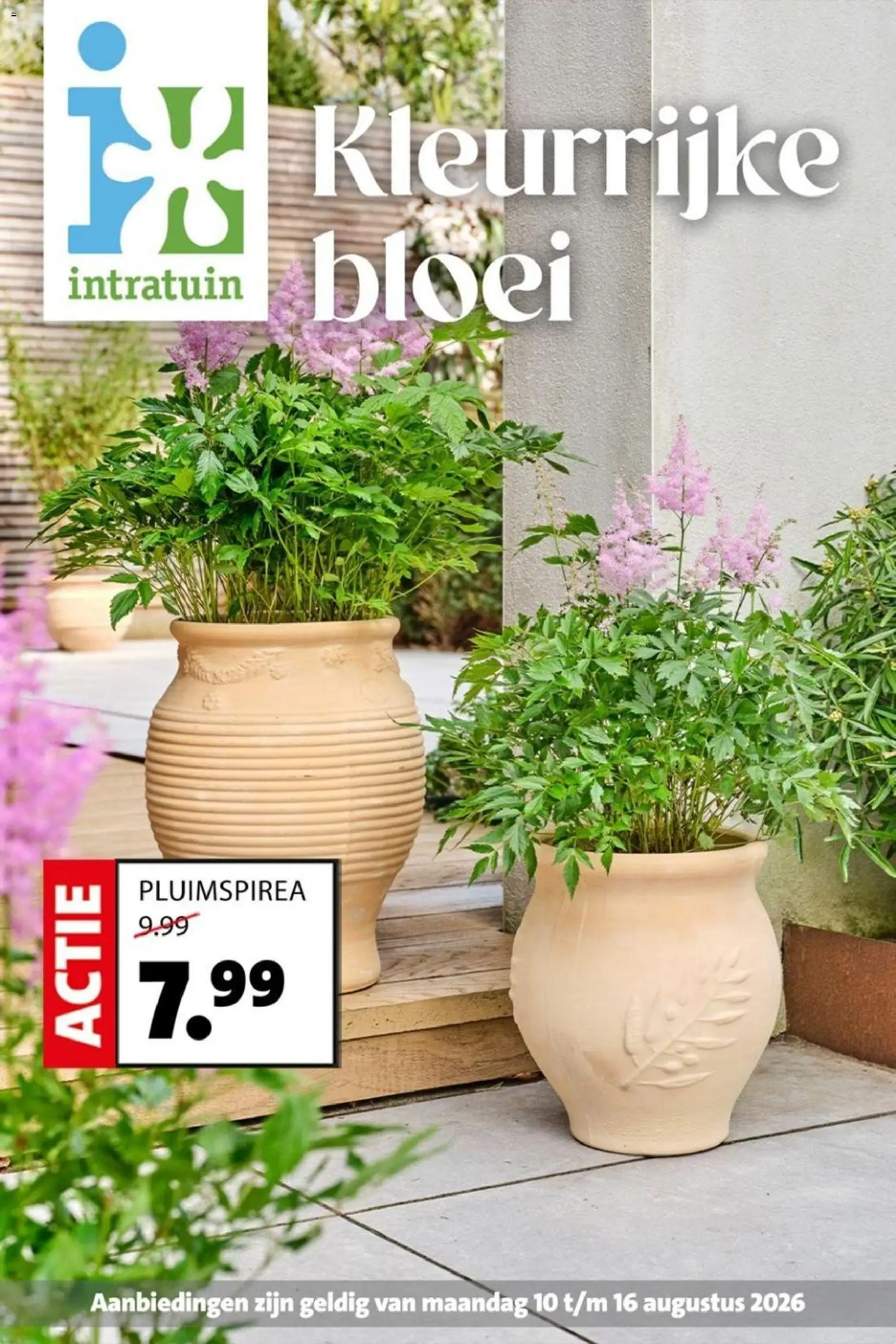 Voorbeeld van Intratuin folder van winkel Intratuin geldig vanaf 10-08-2026
