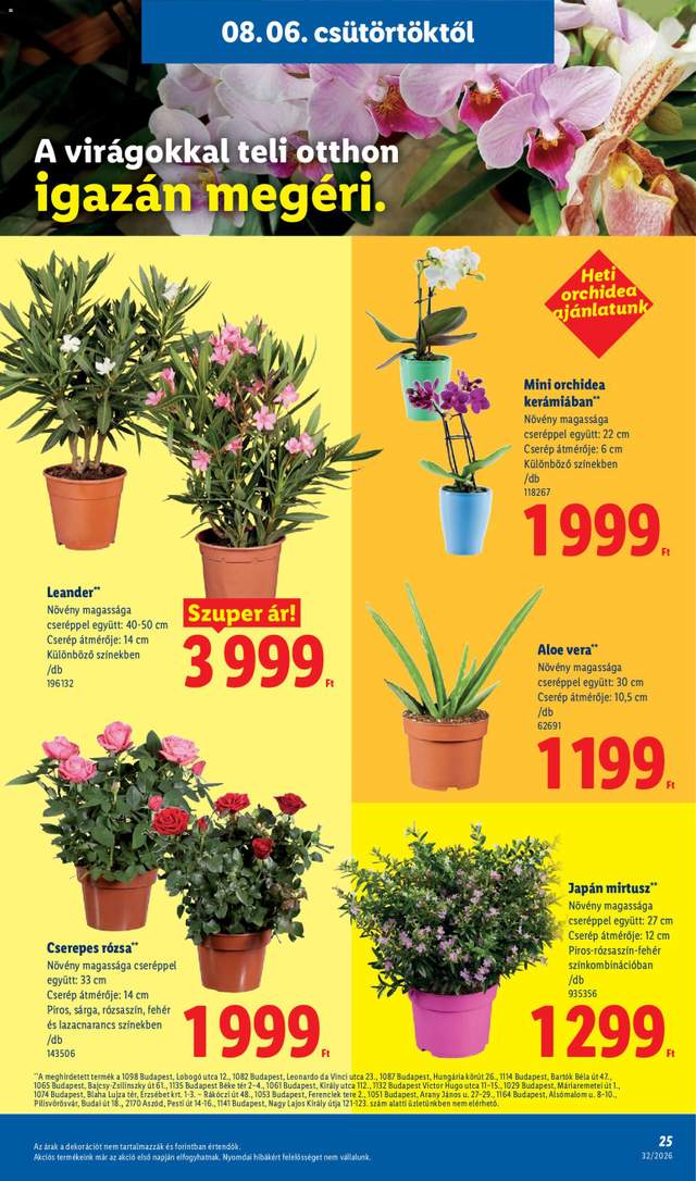 Új Lidl akciós újság 08.06.