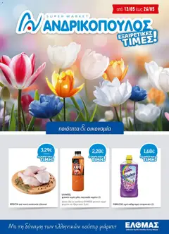 Preview of leaflet Ανδρικοπουλος - Προσφορές from shop Ανδρικοπουλος valid from 13/05/2026