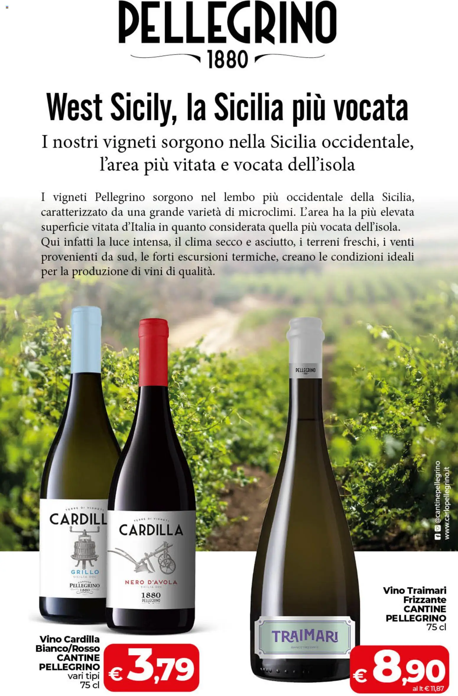 Anteprima dell'opuscolo COOP volantino Sicilia dal negozio COOP valido da 01/09/2026 - Vino