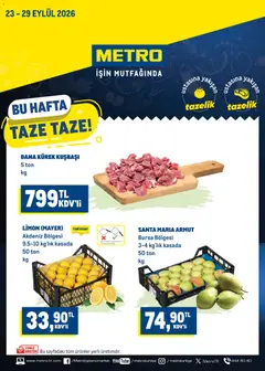 Metro Metro - Katalog 23.09.2026 - Broşürünün önizlemesi