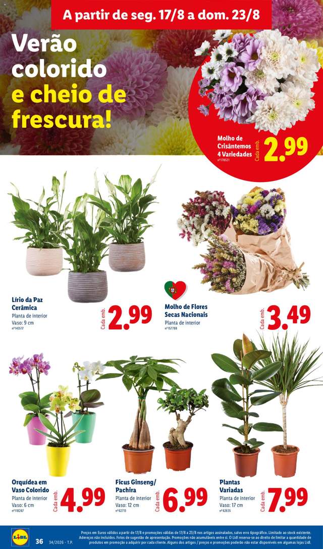Novo folheto Lidl a partir de 17/08