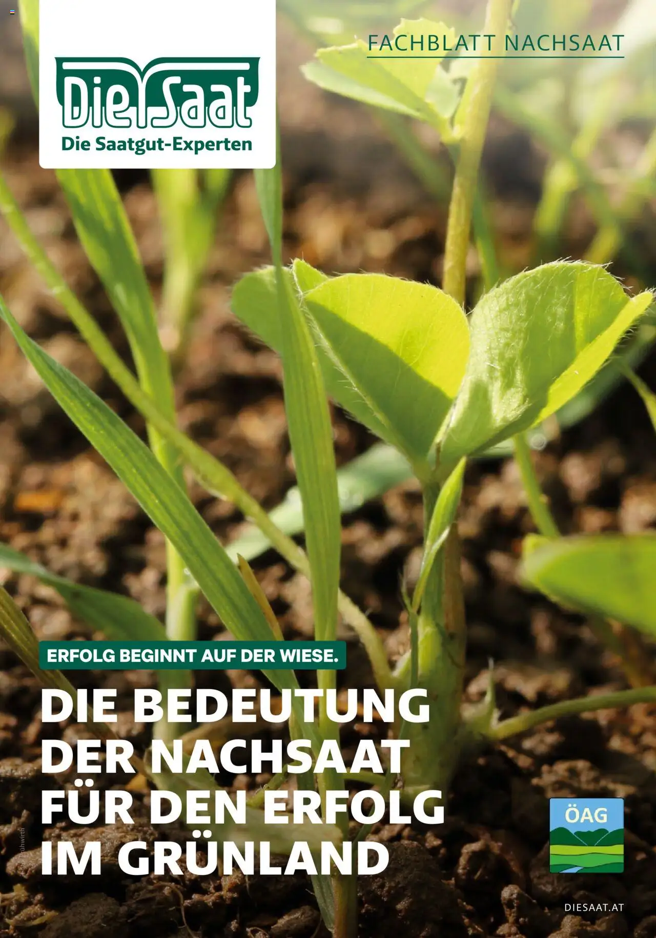Vorschau der Angebote: Lagerhaus Fachblatt Nachsaat gültig ab 02.03.2023