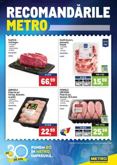 Previzualizarea de cataloage: Metro Metro Catalog valabil de la 12.10.2026