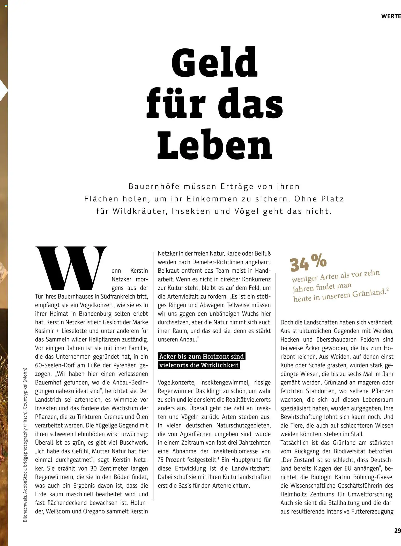 Vorschau von dem Prospekt des Geschäftes BioMarkt, gültig ab dem 17.07.2026 - Tür