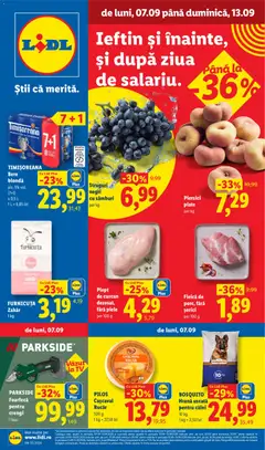 Previzualizarea de cataloage: Lidl Lidl Catalog valabil de la 07.09.2026