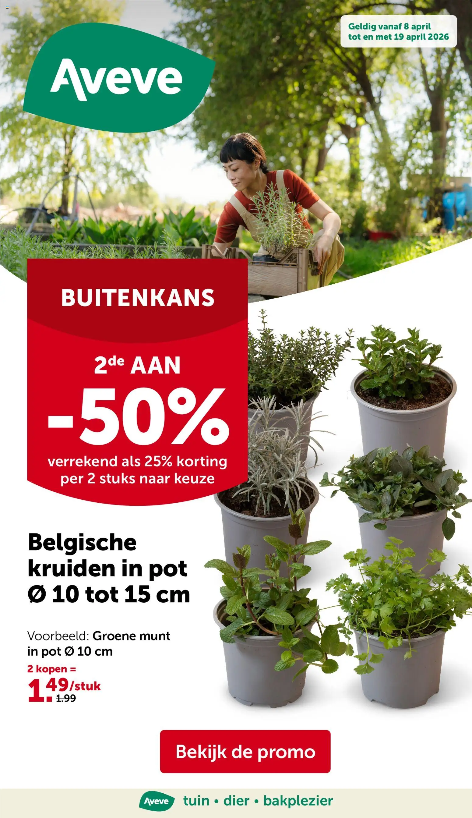 Voorbeeld van Aveve Folder van winkel Aveve geldig vanaf 08/04/2026 - Pot, Munt, Kruiden