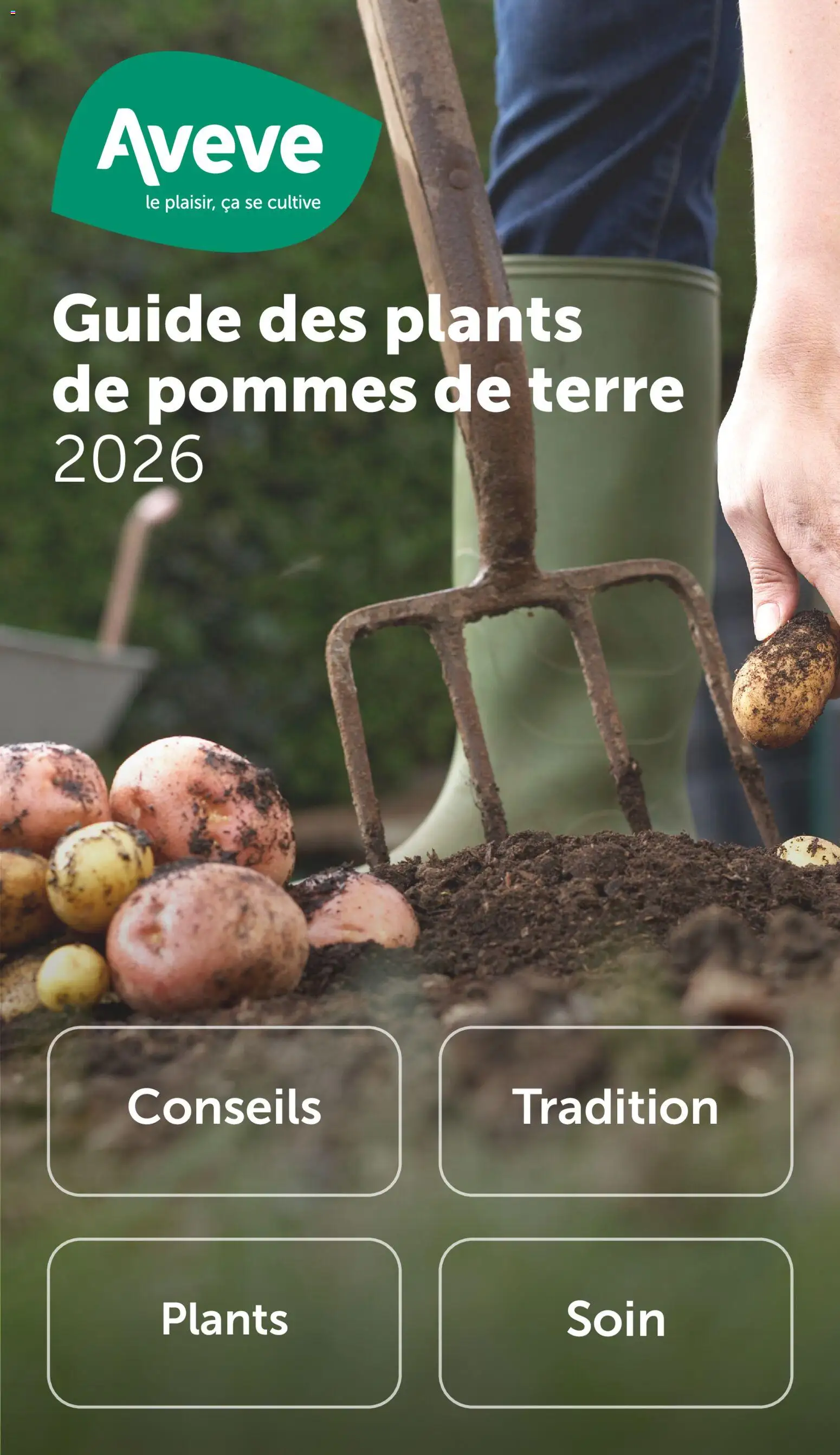 Voorbeeld van Guide des plants de pommes de terre van winkel Aveve geldig vanaf 09/02/2026