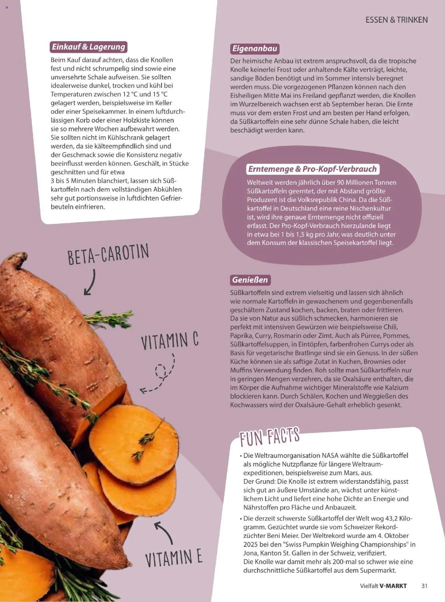 Vorschau von dem Prospekt des Geschäftes V-Markt, gültig ab dem 01.09.2026 - Kühlschrank, Küche, Korb, Kartoffeln