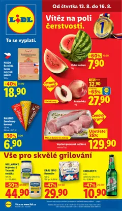 Náhled nabídky: Lidl Lidl leták platný od 13.08.2026