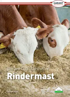 Vorschau der Angebote: Lagerhaus Lagerhaus Rindermast gültig ab 31.07.2026