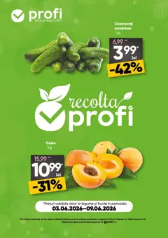 Previzualizarea de cataloage: Profi Profi Catalog Go valabil de la 03.06.2026