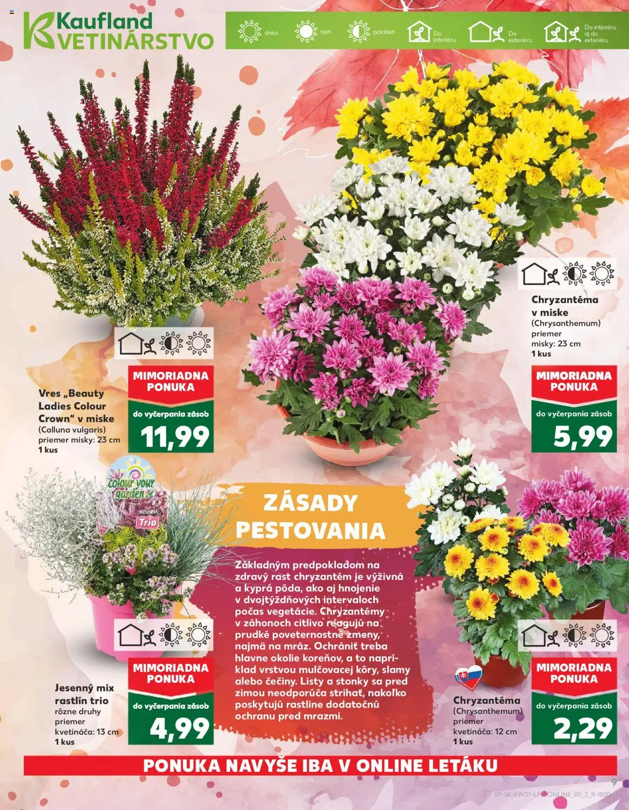 Náhľad Kaufland letáku platného od 11.09.2025