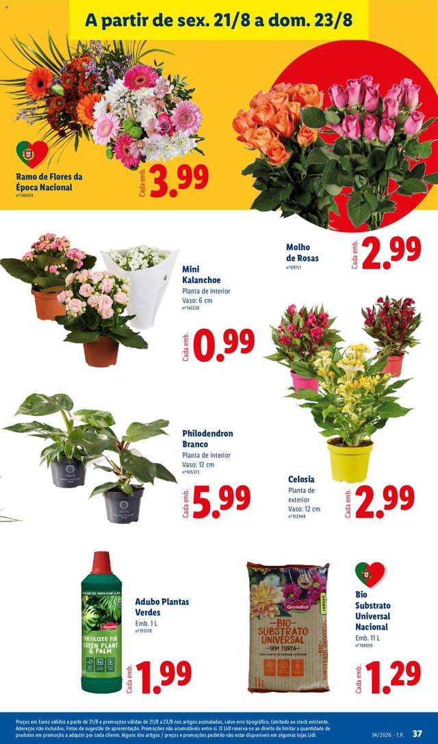 Novo folheto Lidl a partir de 17/08