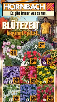 Vorschau der Angebote: Hornbach Hornbach Blütezeit beginnt jetzt gültig ab 15.04.2026