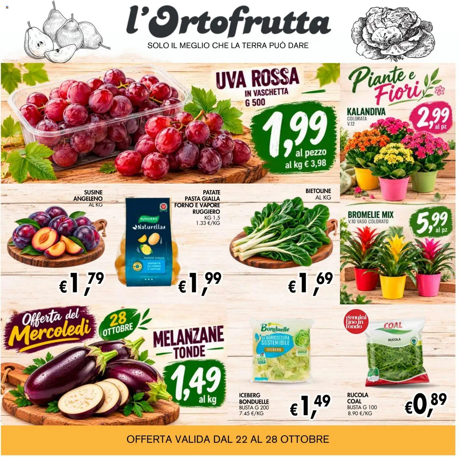 Anteprima dell'opuscolo Coal volantino èccoMi Teramo dal negozio Coal valido da 22/10/2026 - Pasta, Forno, Fiori, Terra, Melanzane, Rucola, Uva, Susine
