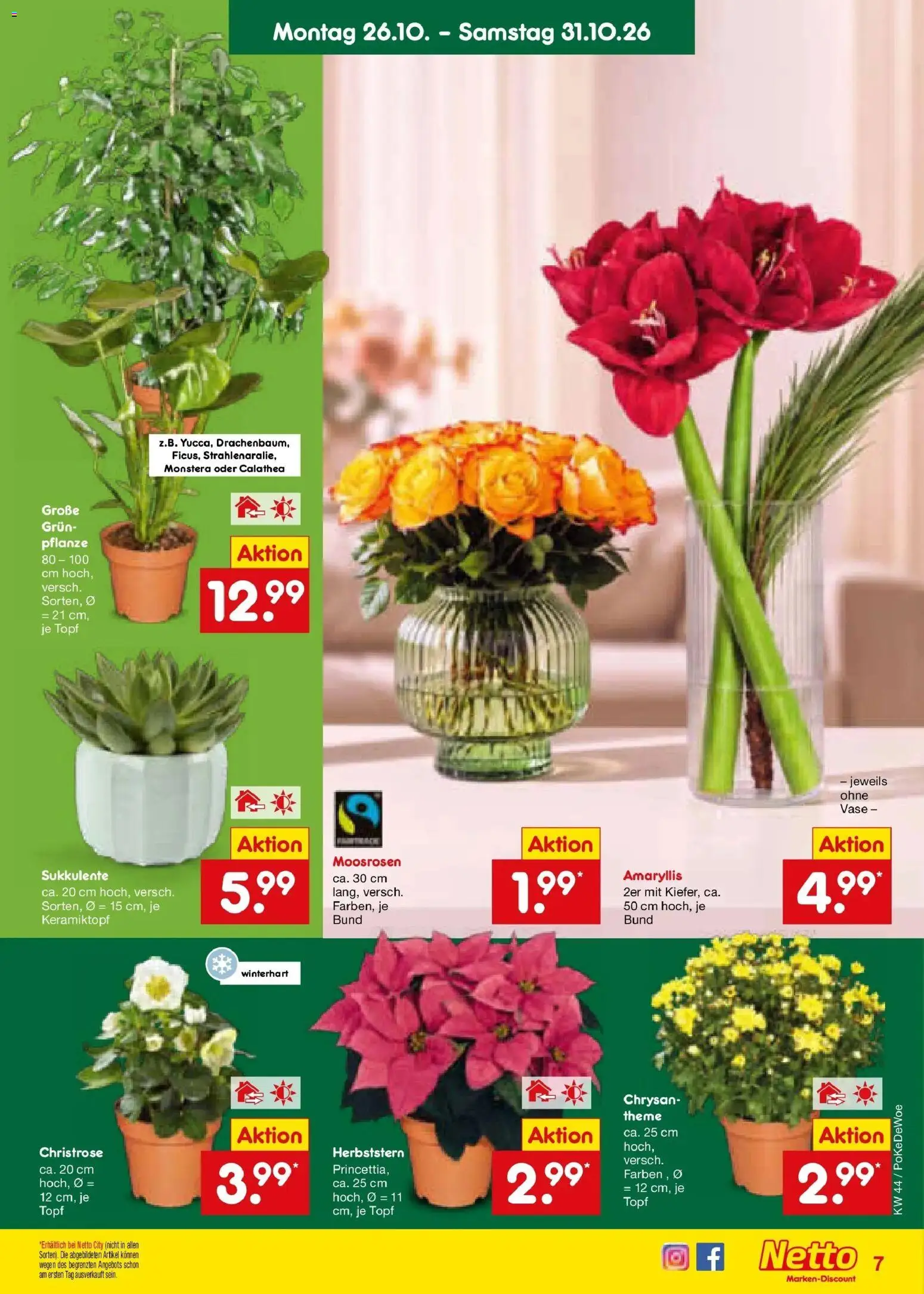 Vorschau von dem Prospekt des Geschäftes Netto Marken-Discount, gültig ab dem 26.10.2026
