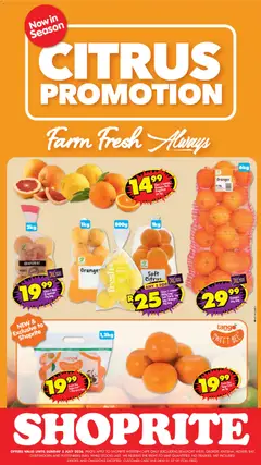 Preview of Shoprite flyer valid from 22/06/2026