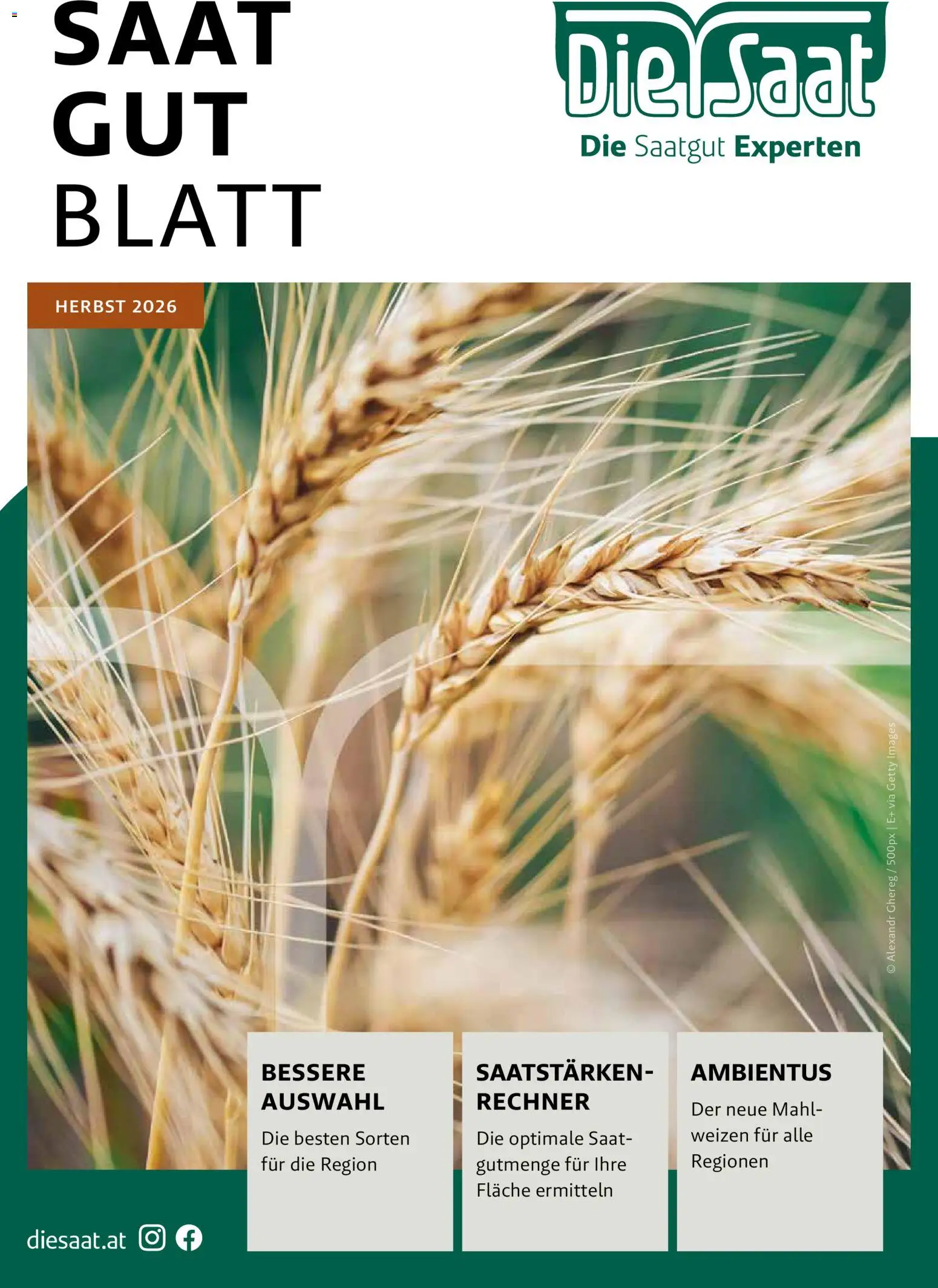 Vorschau der Angebote: Lagerhaus Lagerhaus Fachblatt Saatgut Herbst gültig ab 22.07.2026