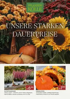Vorschau von dem Prospekt des Geschäftes Pflanzen-Kölle, gültig ab dem 01.10.2026