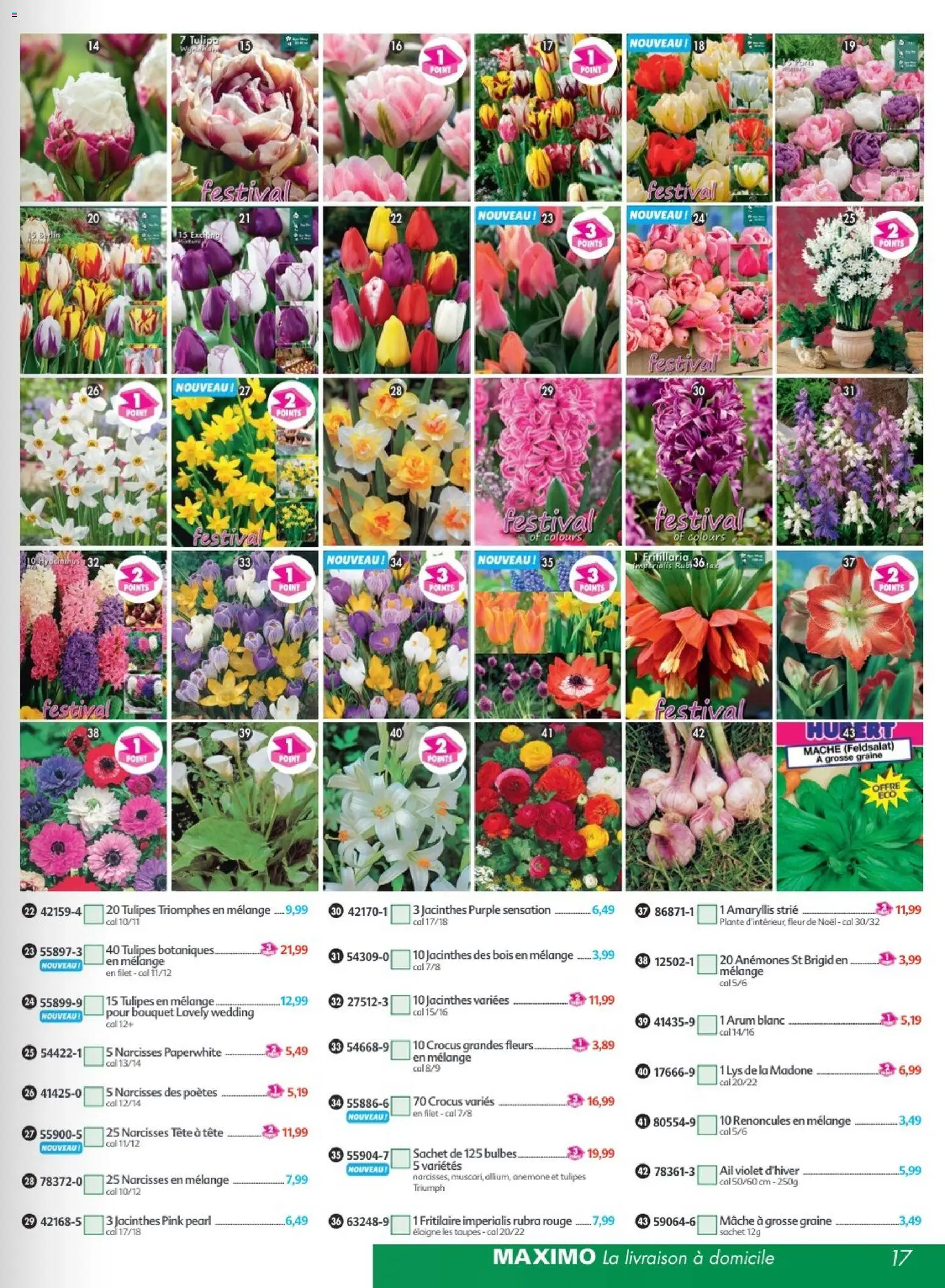 Prévisualisation de Maximo catalogue epicerie du magasin Maximo formulaire valide 24/08/2026 - Fleurs, Tulipes, Amaryllis, Ail, Mâche