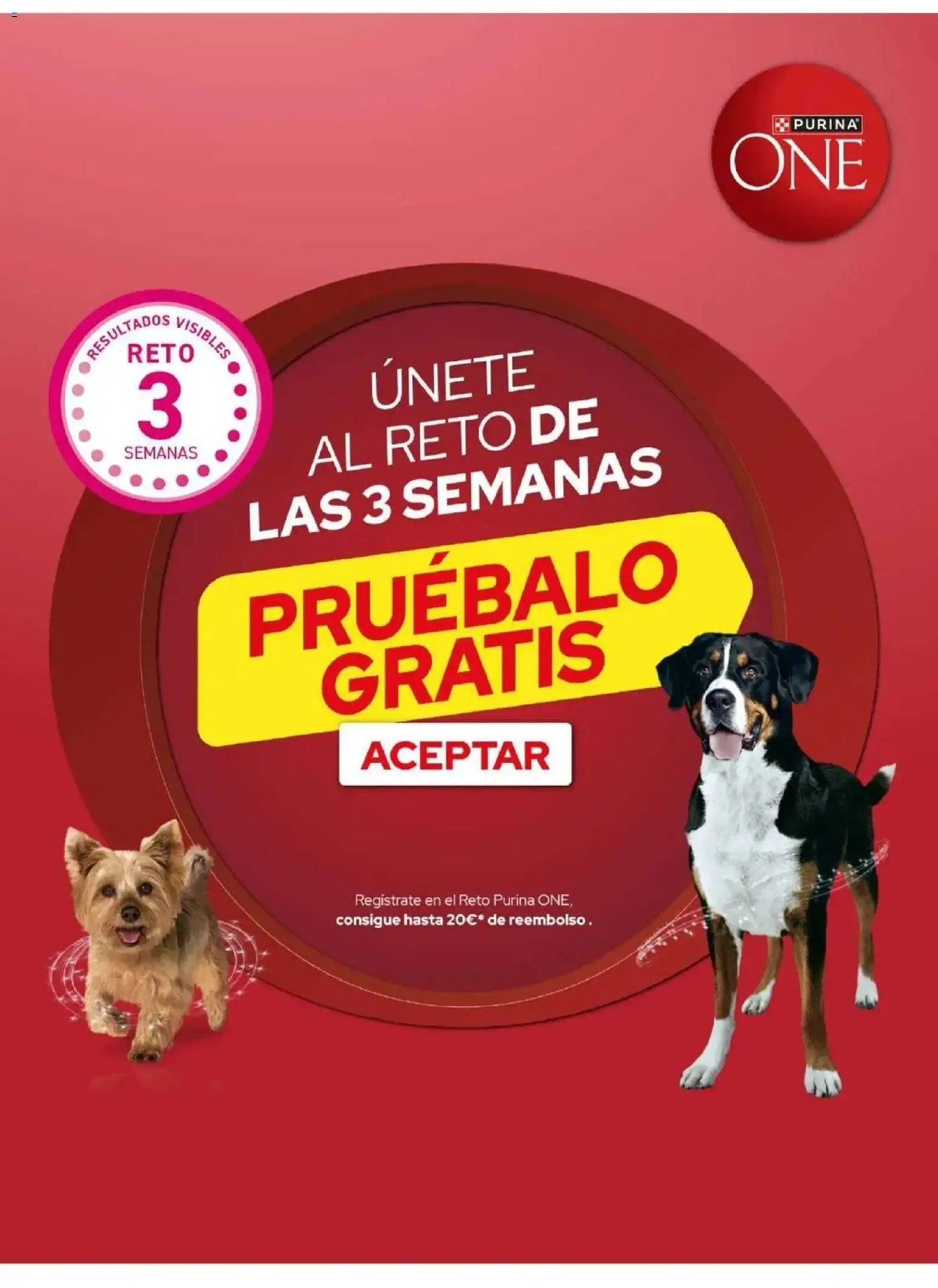 Vista previa del folleto de la tienda Eroski válido desde el 19/10/2026 