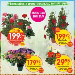 Förhandsgranska reklamblad EKO erbjudanden från butik EKO gäller från 18/05/2026