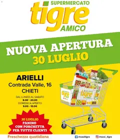 Anteprima dell'opuscolo Tigre volantino Amico Arielli dal negozio Tigre valido da 30/07/2026