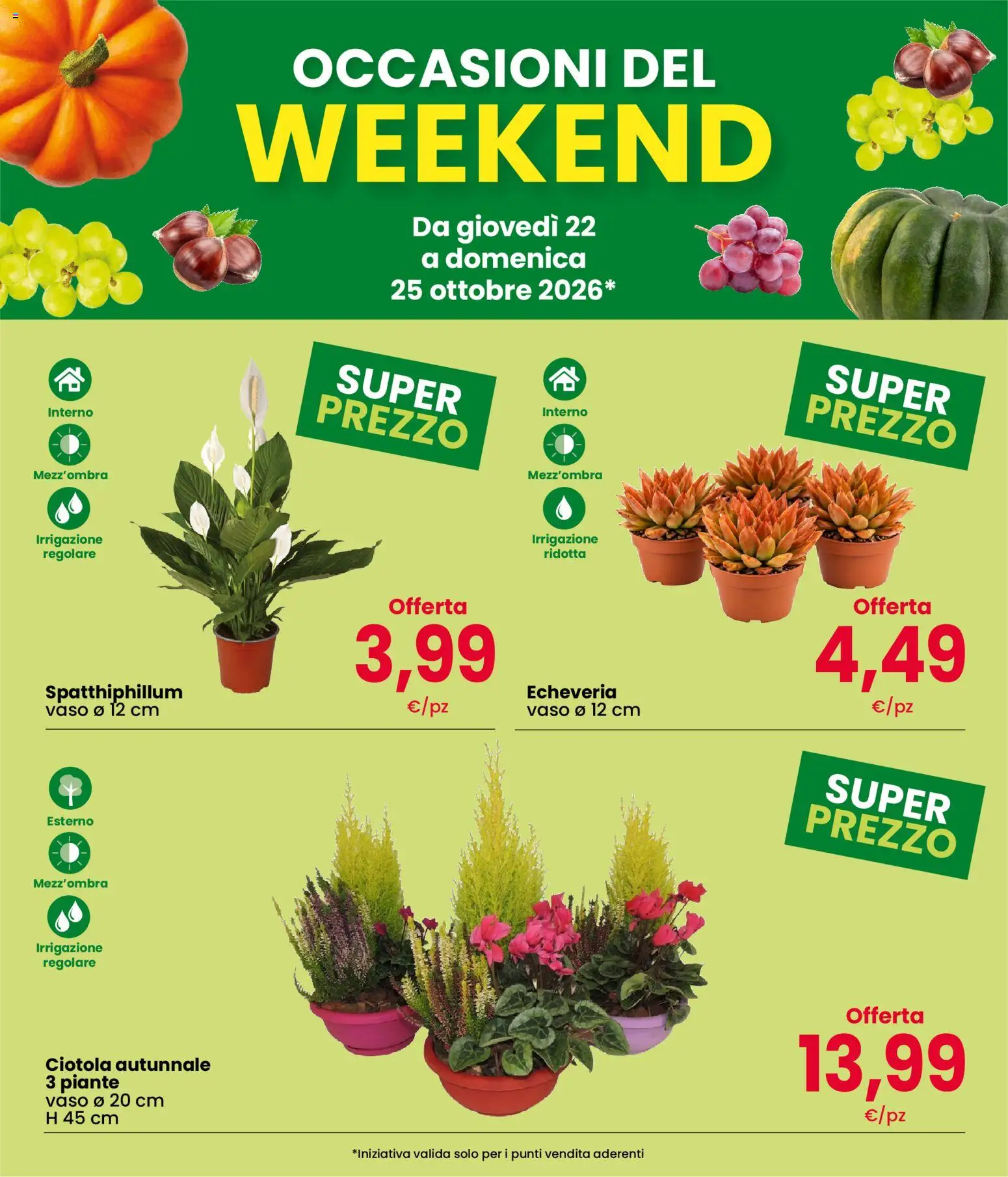 Anteprima dell'opuscolo Interspar volantino Weekend dal negozio Interspar valido da 22/10/2026 - Vaso, Ciotola