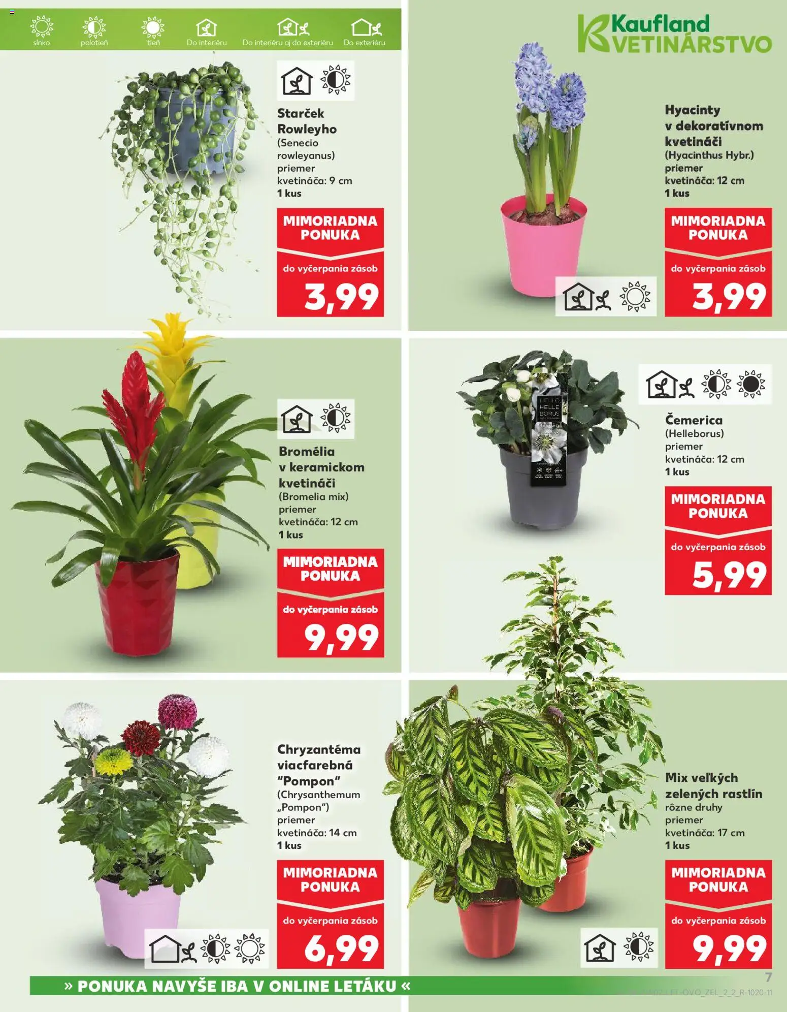 Náhľad Kaufland letáku platného od 08.01.2026