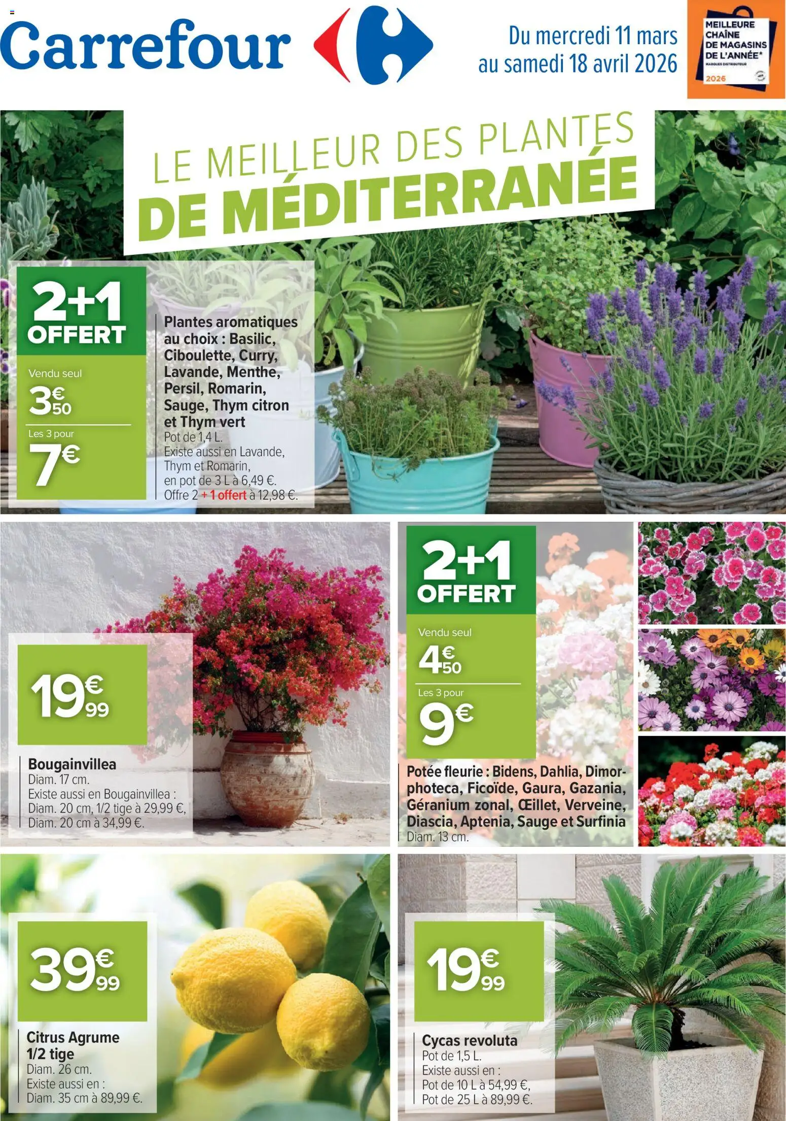 Prévisualisation de Carrefour Le meilleur des plantes de méditerranée du magasin Carrefour formulaire valide 11/03/2026 - Plantes, Thym, Citron, Cycas revoluta, Géranium