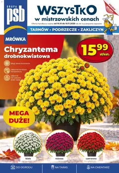 Pogląd gazetki "Mrówka gazetka" ze sklepu Mrówka ważnej od 16.10.2026