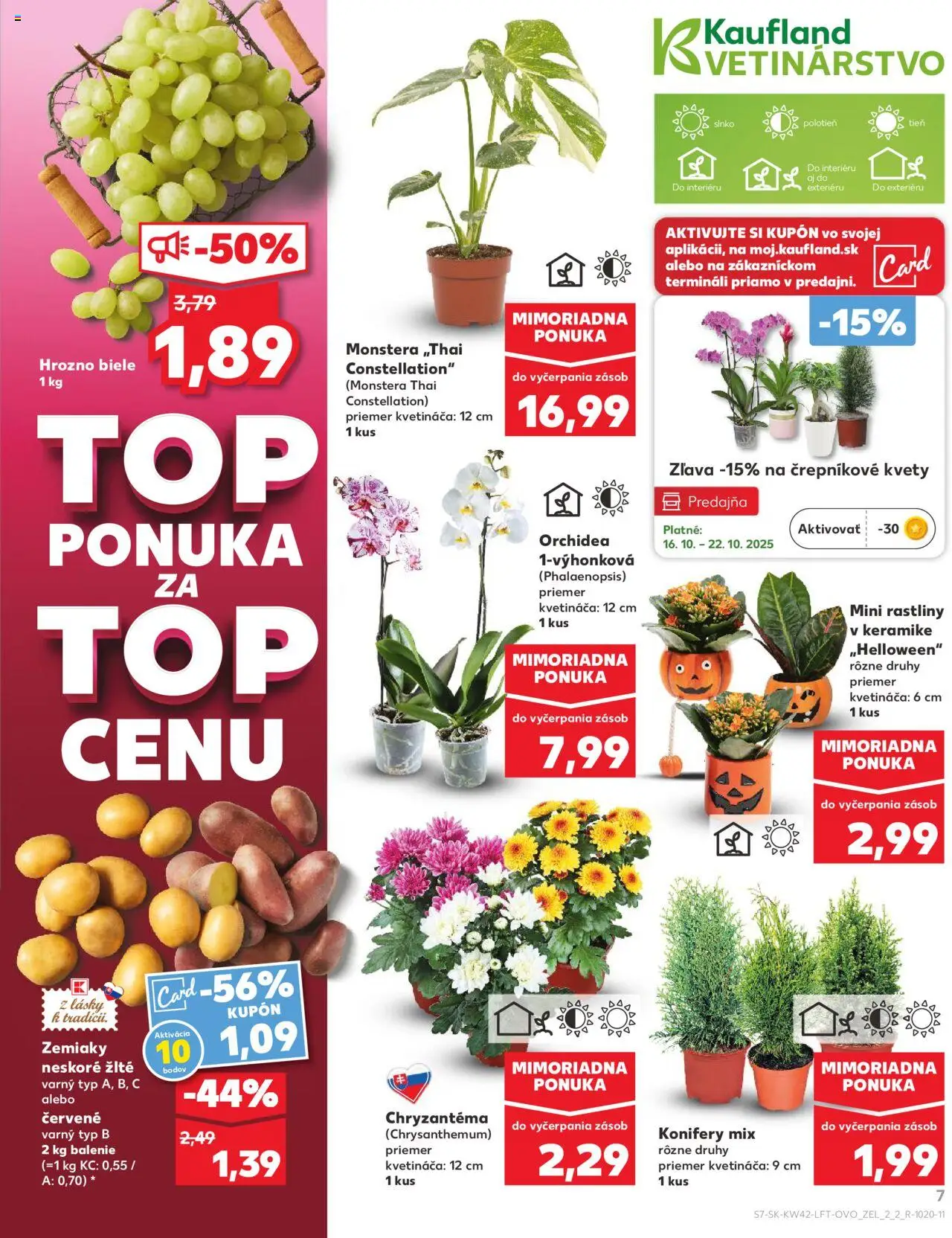Náhľad Kaufland letáku platného od 16.10.2025 - Kvety, Orchidea, Zemiaky, Hrozno