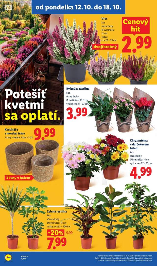 Nový Lidl leták od 12.10.