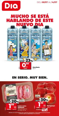 Vista previa del folleto de la tienda Dia válido desde el 08/07/2026 