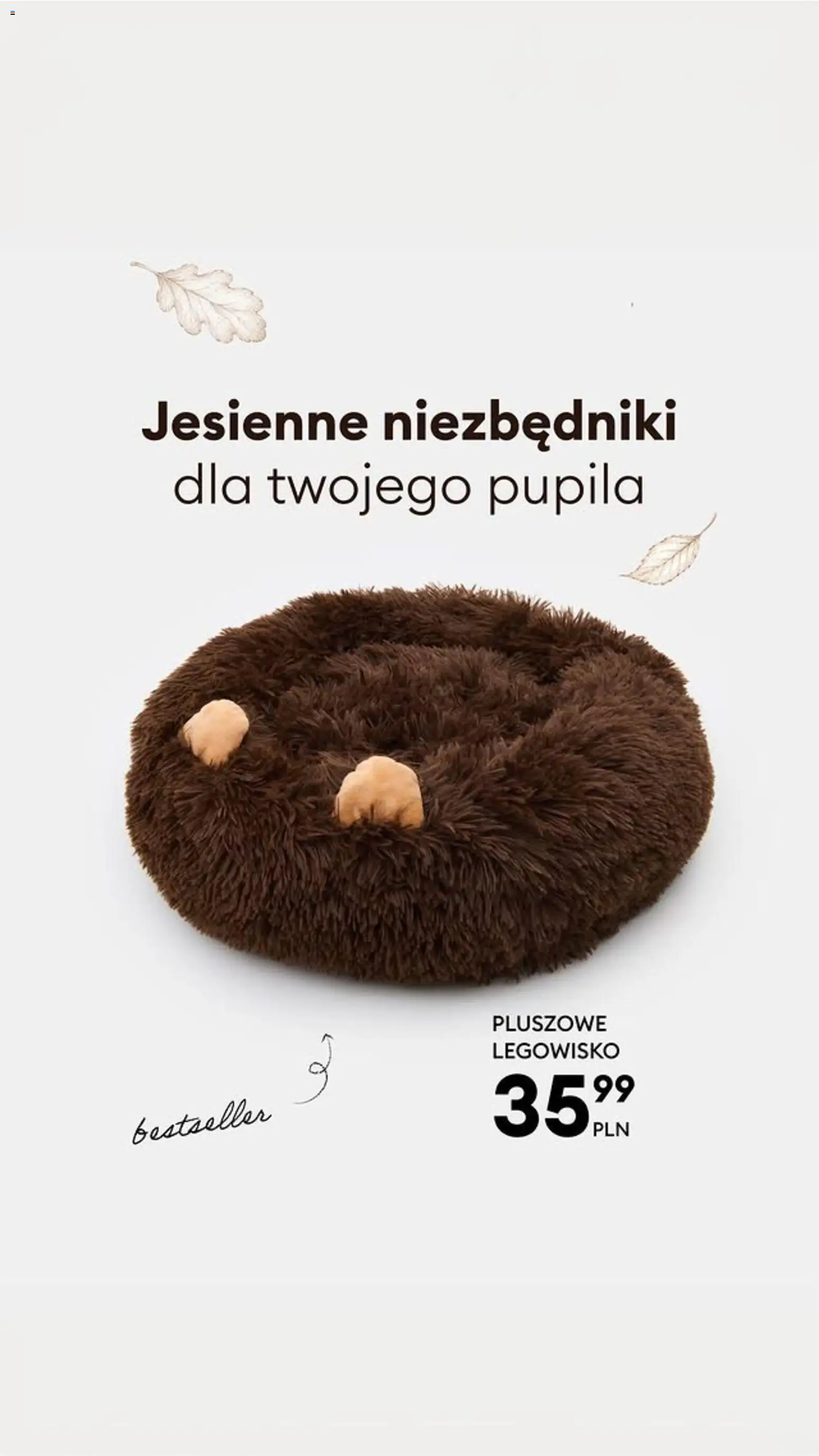 Pogląd gazetki "Sinsay gazetka" ze sklepu Sinsay ważnej od 13.10.2026