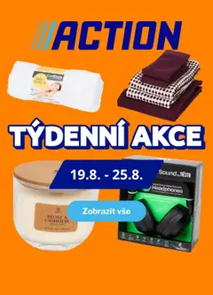 Náhled letáku Action Nabídka produktů od 19.08.2026