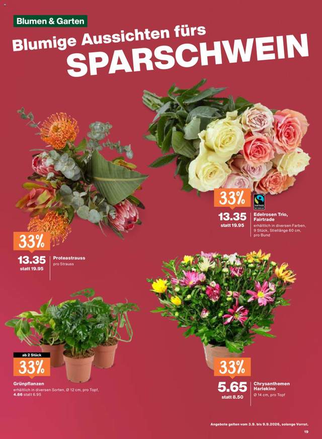 Neue Migros Aktionen ab 03.09.