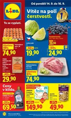Náhled nabídky: Lidl Lidl leták platný od 14.09.2026